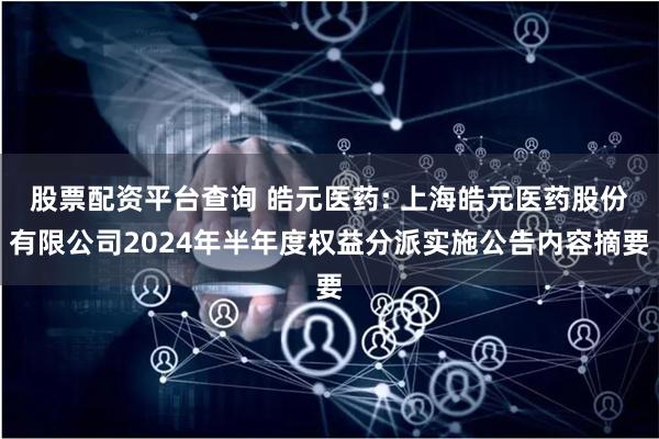 股票配资平台查询 皓元医药: 上海皓元医药股份有限公司2024年半年度权益分派实施公告内容摘要