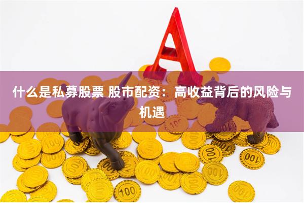 什么是私募股票 股市配资：高收益背后的风险与机遇