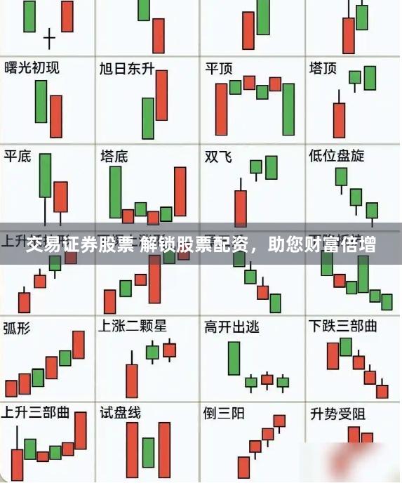 交易证券股票 解锁股票配资，助您财富倍增