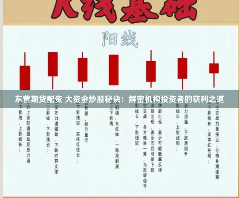 东营期货配资 大资金炒股秘诀：解密机构投资者的获利之道