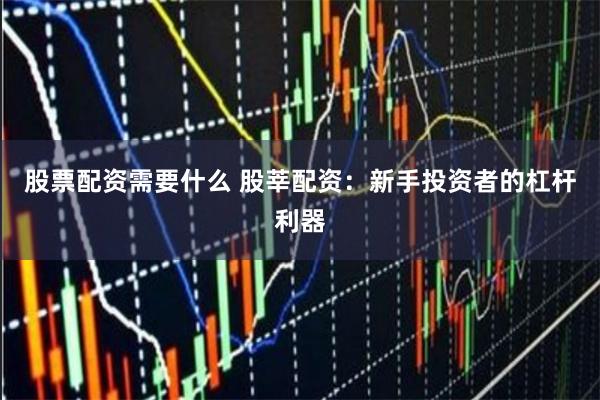 股票配资需要什么 股莘配资：新手投资者的杠杆利器